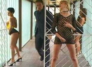 Animal Trainer #05, Scene #01 in Famedigital series with Michelle Wild D, Szilvia Lauren, Mary Blond and others by Adult Time